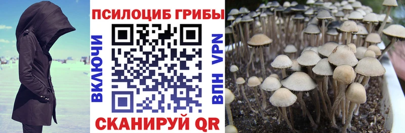 Галлюциногенные грибы ЛСД  Саяногорск 